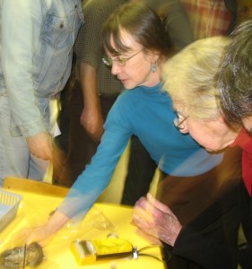 Flying Squirrels Photo 3 (1202x1280)