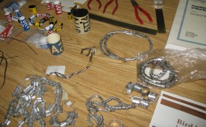 Photo 2 MVFN bird banding (1280x794)