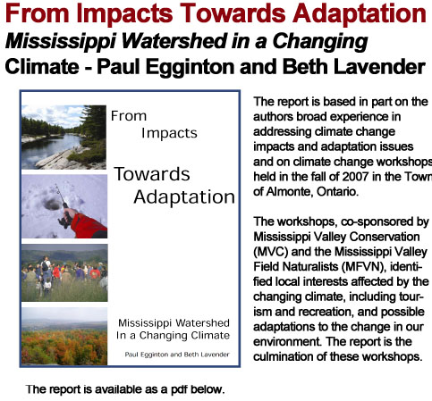 From Impacts towards Adaptation header