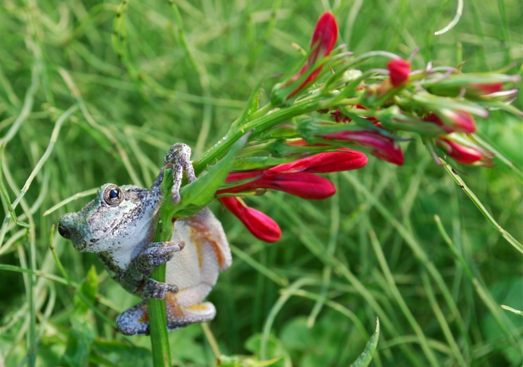 Grant Dobson (1280x899)