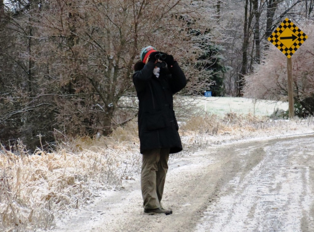 Mary Robinson scans for birds from Drummond Road during the CP Christmas bird count. “It was tough day for photos with all the freezing mist. Many birds were sheltering in trees and shrubs.” Photo by Howard Robinson. 
