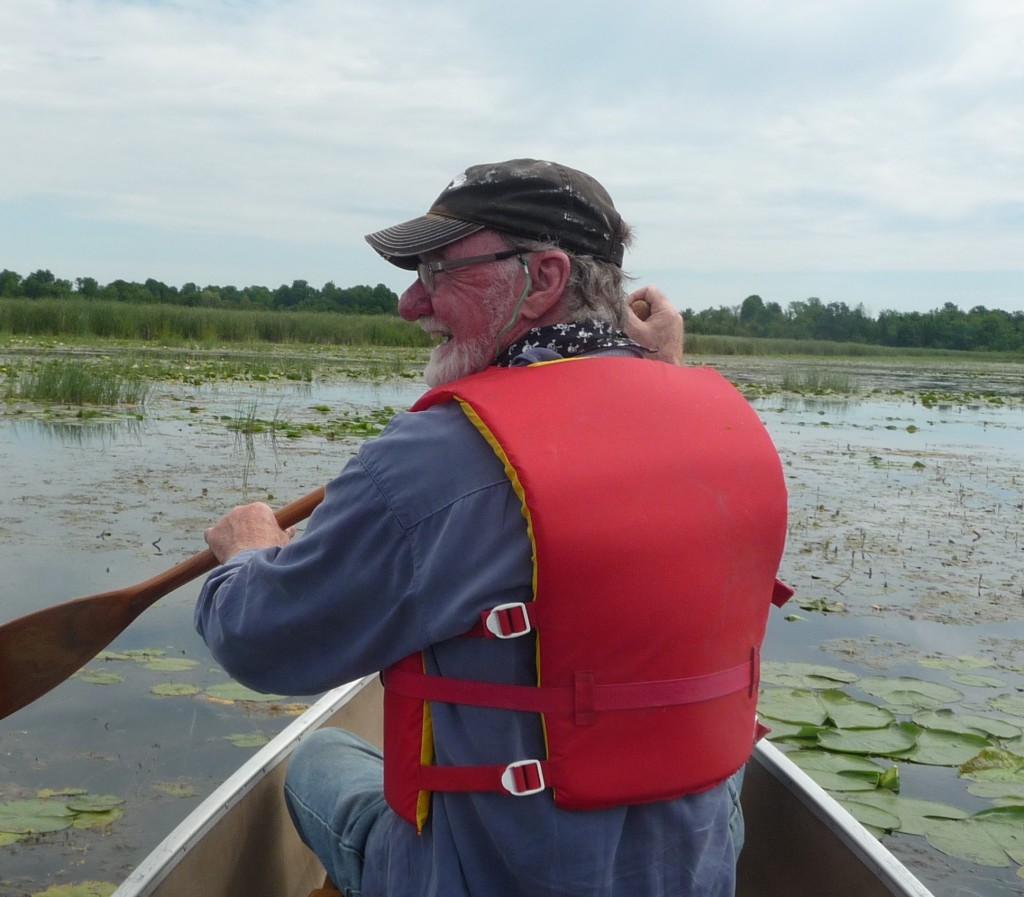 Canoe birding the Tay