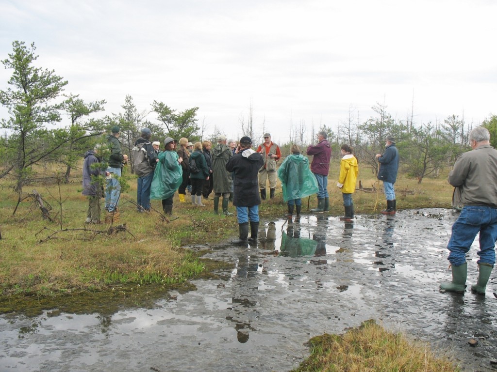 Burnt Lands Alvar ANSI is a rare ecosystem of exceptional quality: seen here on a rainy day in May, 2009; guided tour of the alvar led by Dr. Paul Catling.