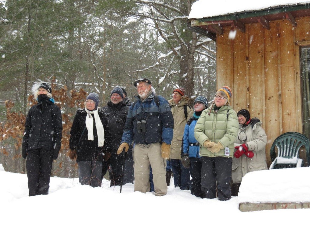 MVFN President and local bird columnist Cliff Bennett (centre), leads the nature ramble group in identifying birds coming in to feed. Photo by Howard Robinson