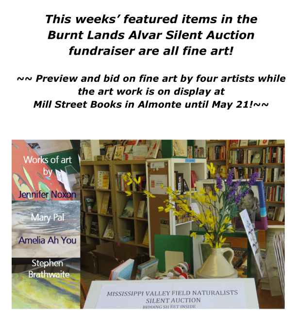 Featured-art-at-Mill-Street-Books
