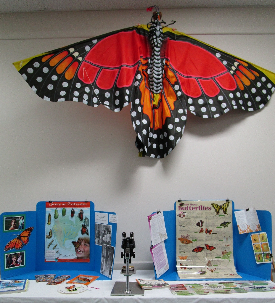 Take a closer look at the monarch butterfly: display by Neil Carleton.