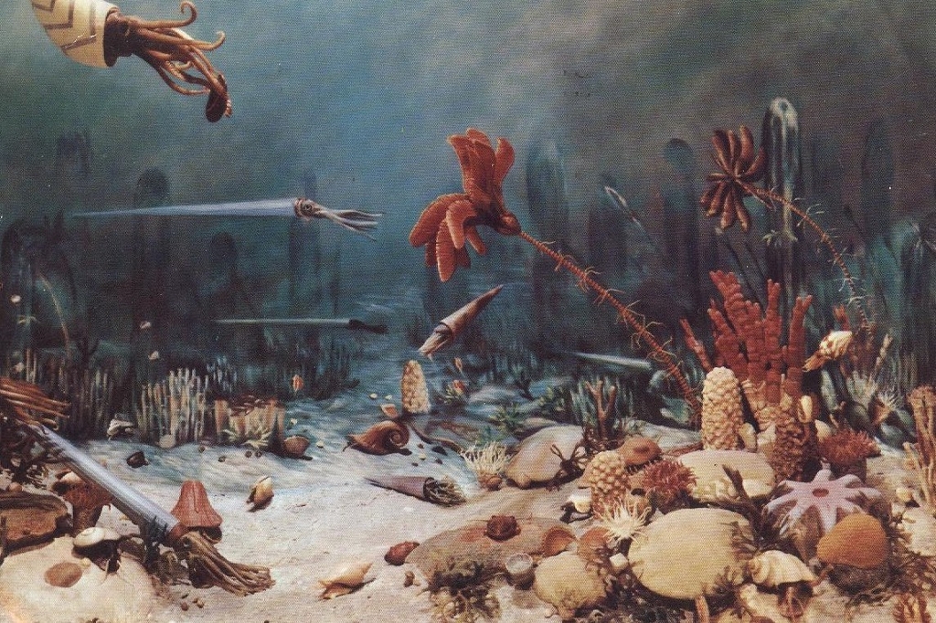 Ordovician Sea Bottom (1024x682)