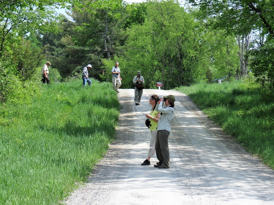 Birdwatching on Porter Road. photo Howard Robinson