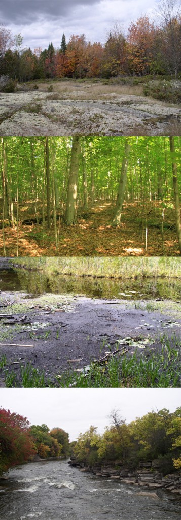 Landscape design photo 1 abcd
